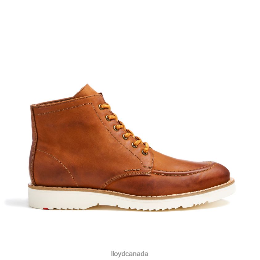 DEBAR LLOYD Men brown R084ZF501 Shoes