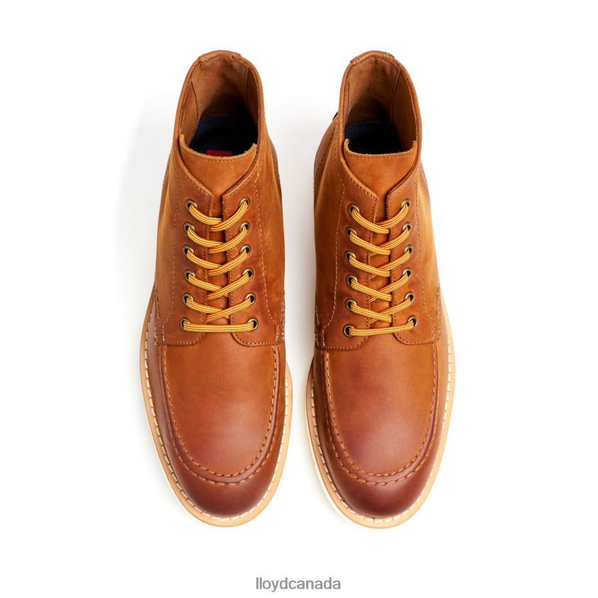 DEBAR LLOYD Men brown R084ZF501 Shoes