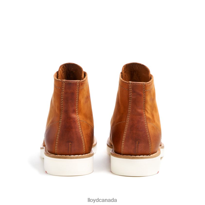 DEBAR LLOYD Men brown R084ZF501 Shoes