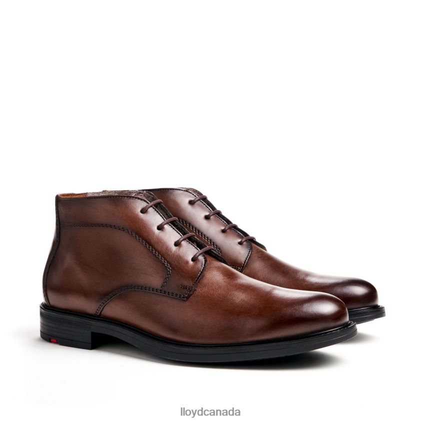 DELAWARE LLOYD Men brown R084ZF461 Shoes