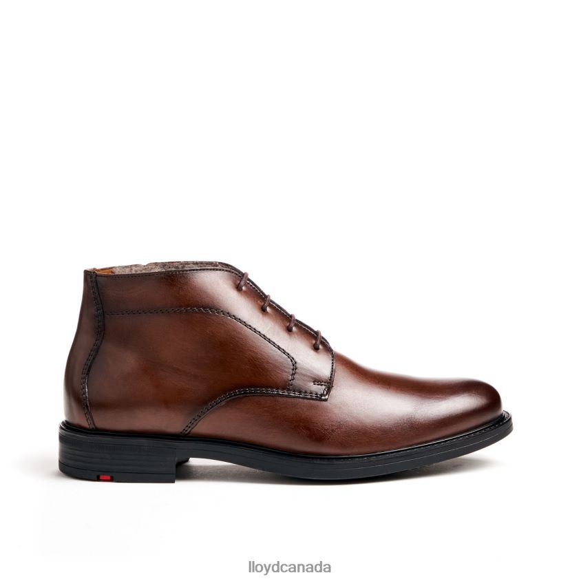 DELAWARE LLOYD Men brown R084ZF461 Shoes