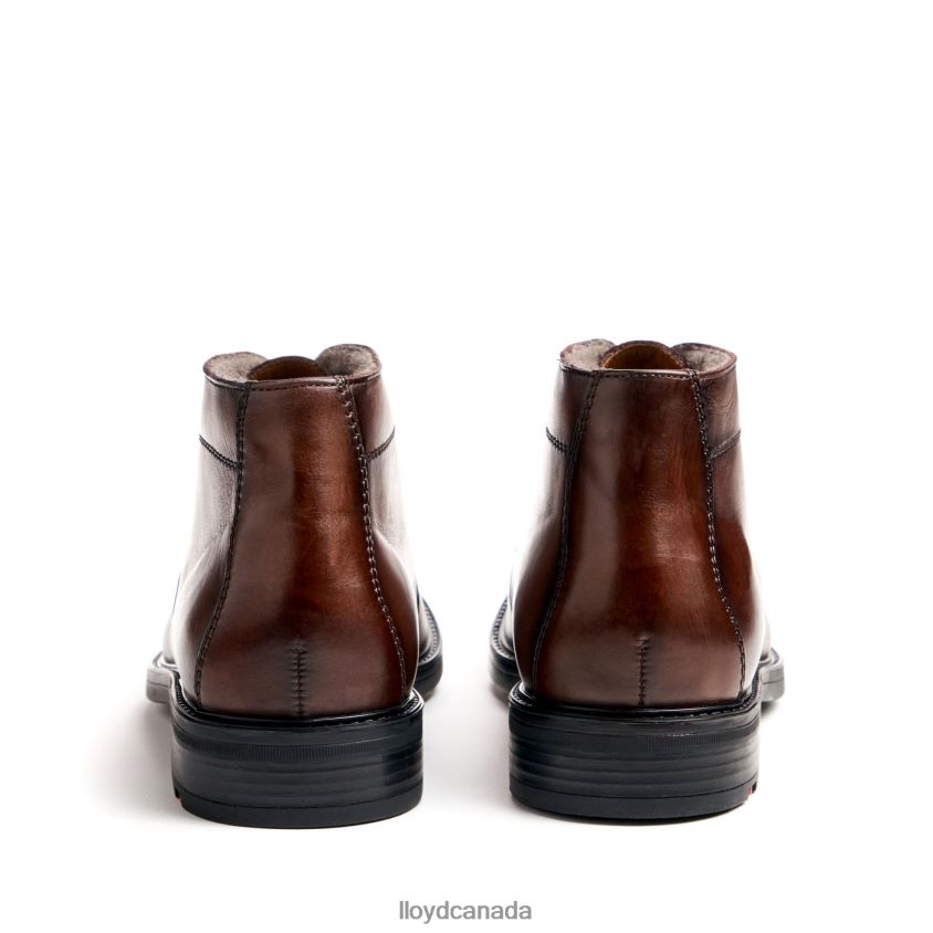 DELAWARE LLOYD Men brown R084ZF461 Shoes