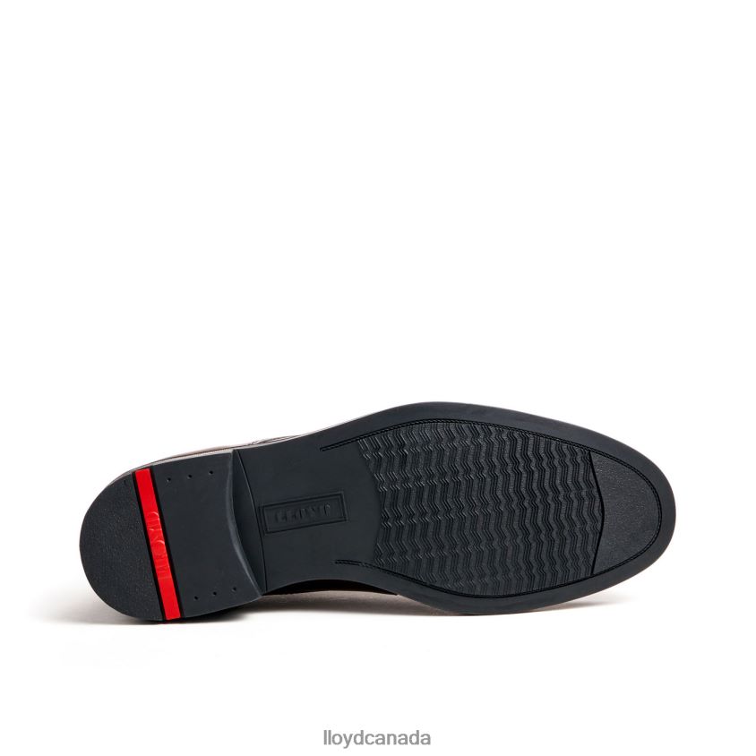 DELAWARE LLOYD Men brown R084ZF461 Shoes