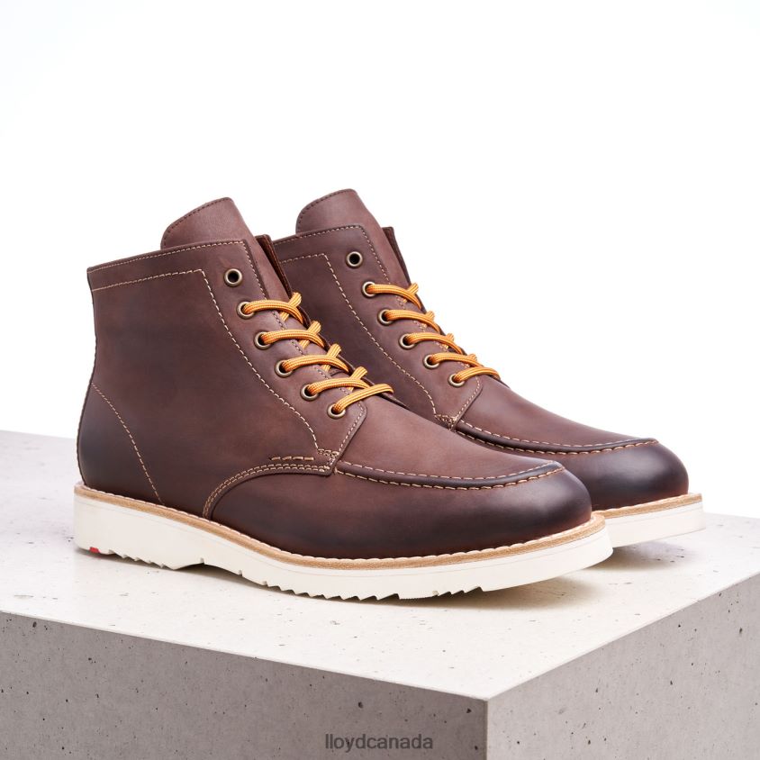 DENIER LLOYD Men brown R084ZF504 Shoes