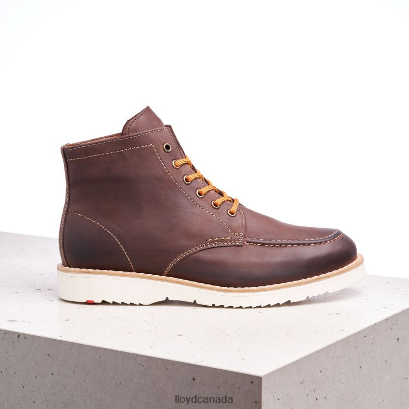 DENIER LLOYD Men brown R084ZF504 Shoes