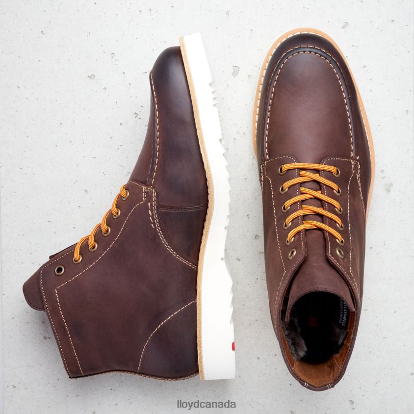DENIER LLOYD Men brown R084ZF504 Shoes