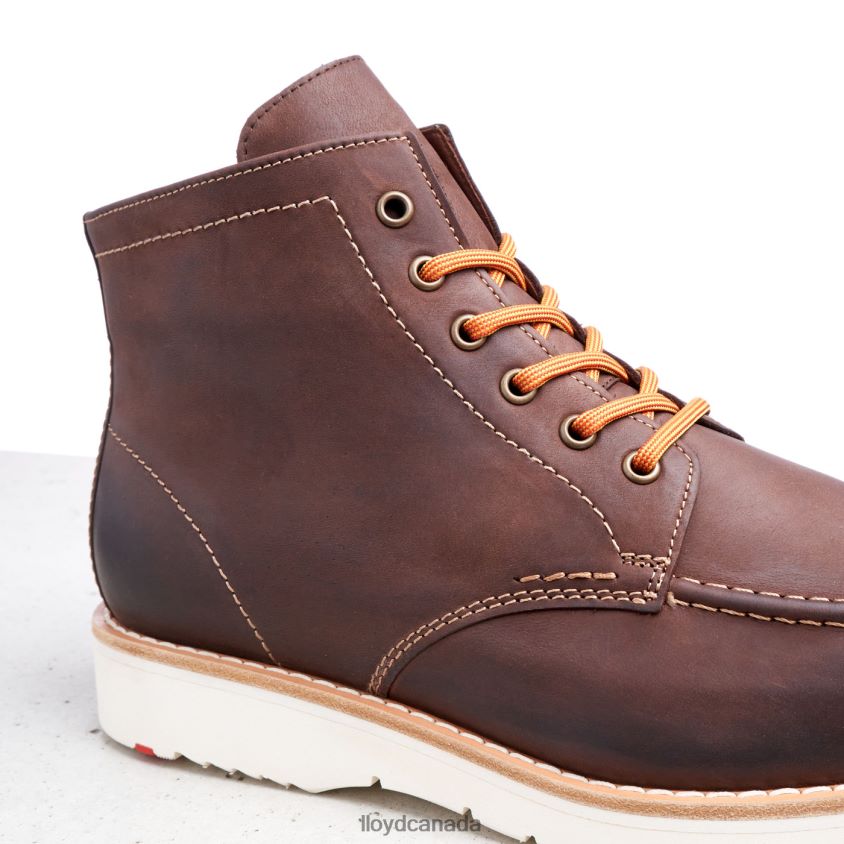 DENIER LLOYD Men brown R084ZF504 Shoes