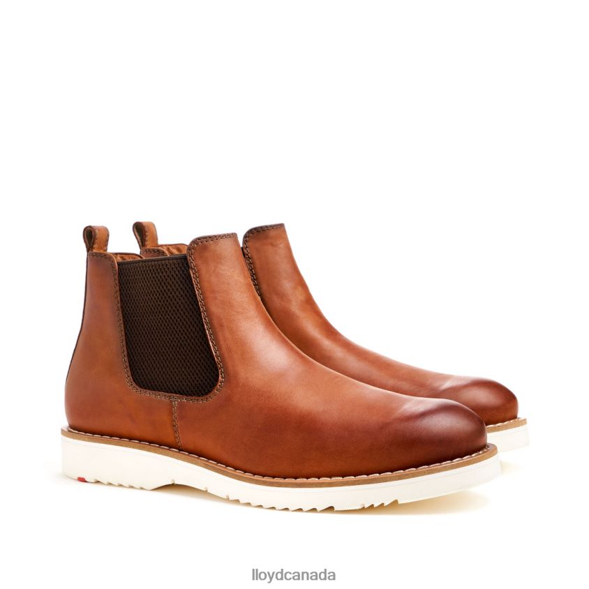 DENTON LLOYD Men brown R084ZF477 Shoes