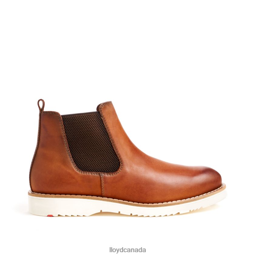 DENTON LLOYD Men brown R084ZF477 Shoes