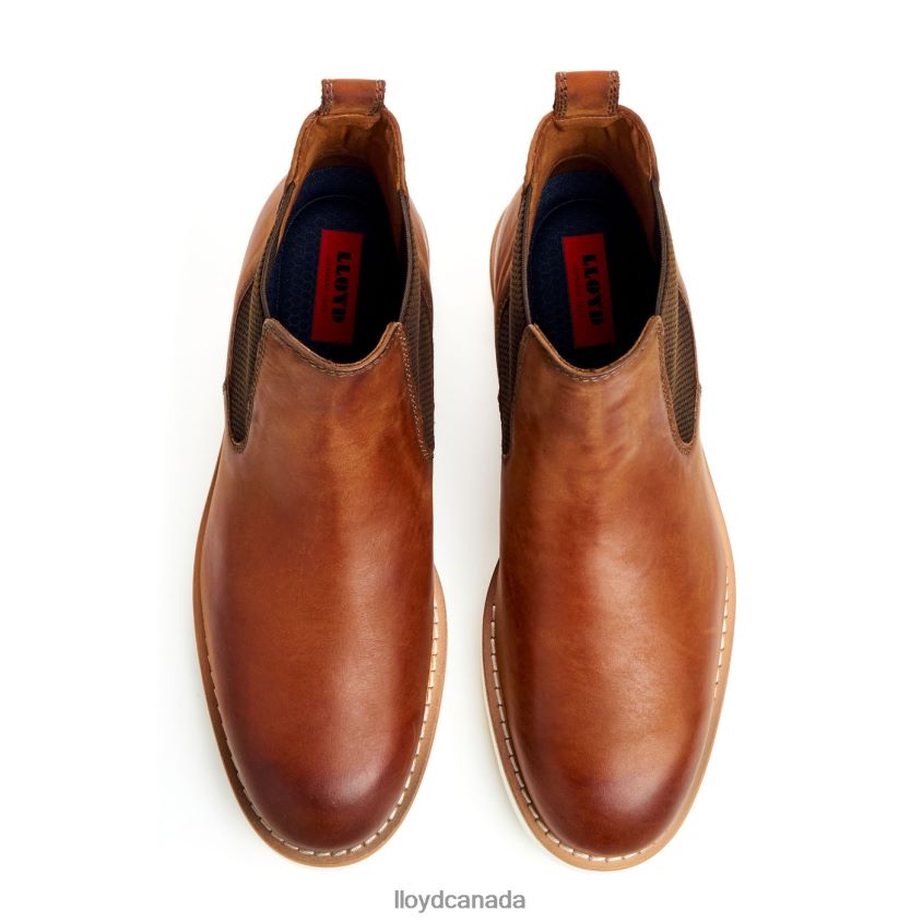DENTON LLOYD Men brown R084ZF477 Shoes
