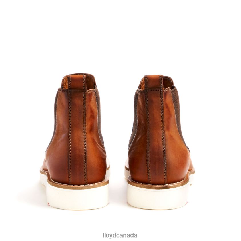 DENTON LLOYD Men brown R084ZF477 Shoes