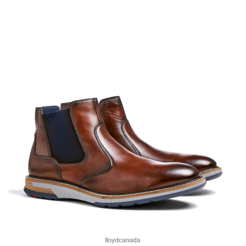 DEXTER LLOYD Men brown R084ZF469 Shoes