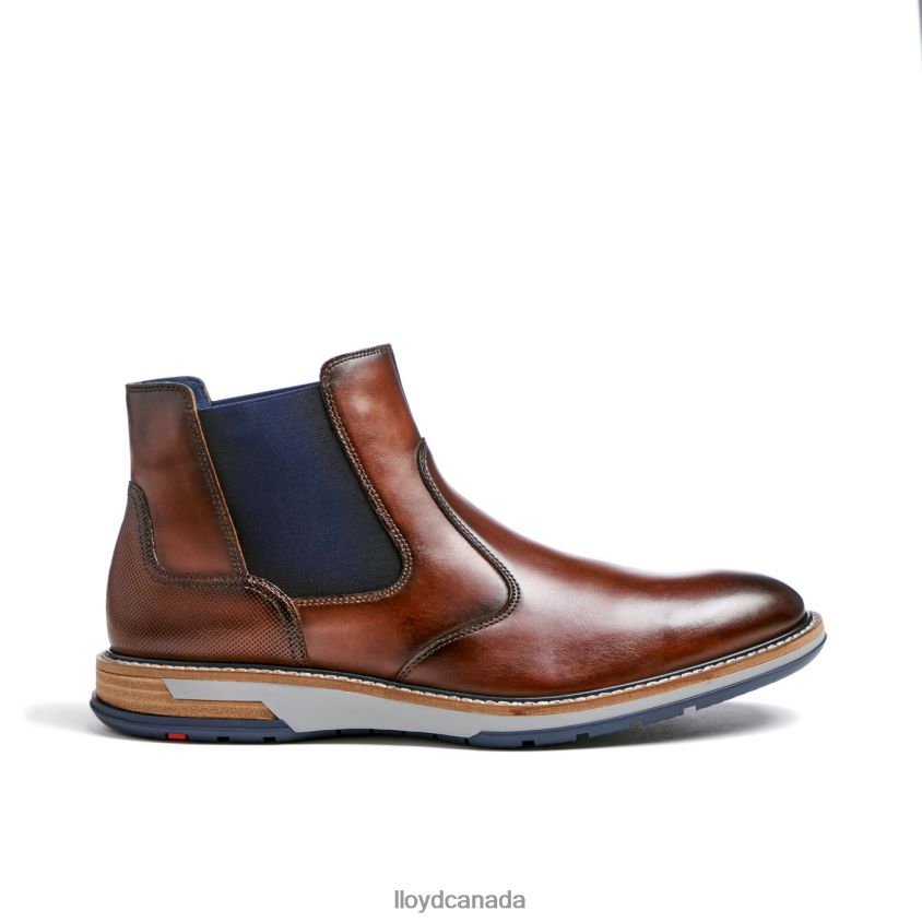 DEXTER LLOYD Men brown R084ZF469 Shoes