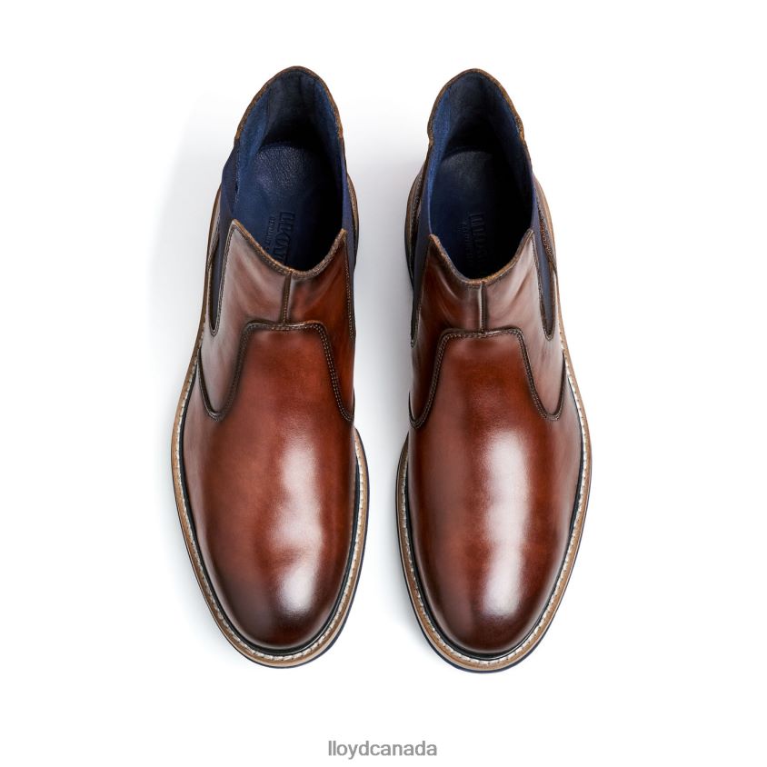 DEXTER LLOYD Men brown R084ZF469 Shoes