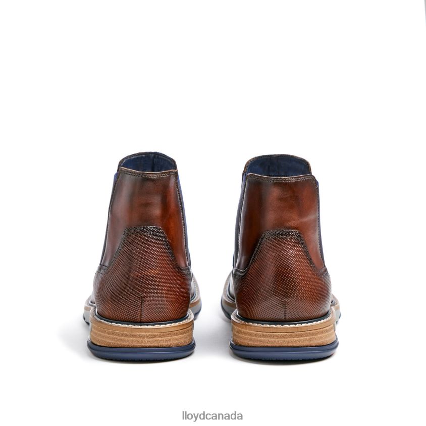 DEXTER LLOYD Men brown R084ZF469 Shoes