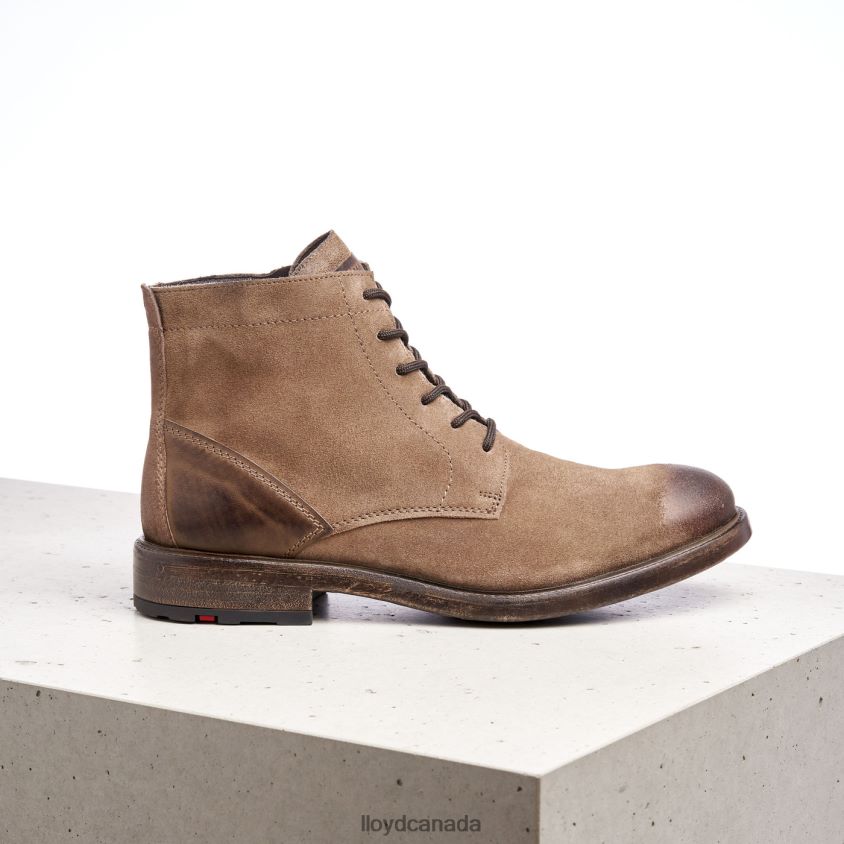 DUAL LLOYD Men brown R084ZF498 Shoes
