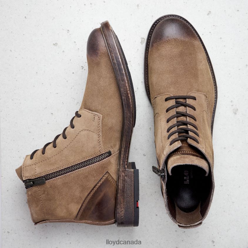 DUAL LLOYD Men brown R084ZF498 Shoes