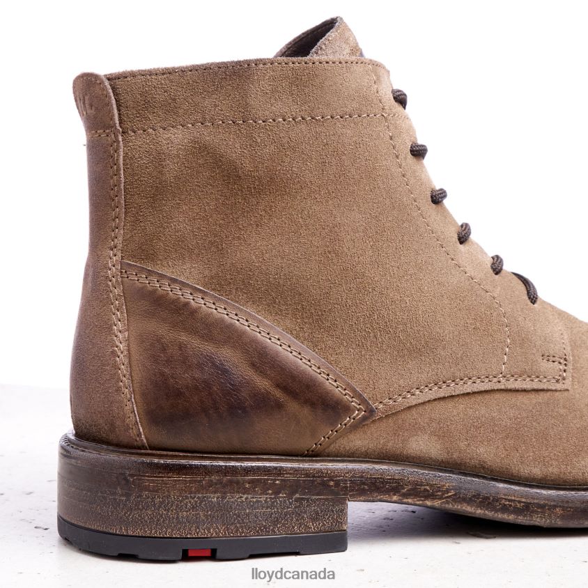 DUAL LLOYD Men brown R084ZF498 Shoes