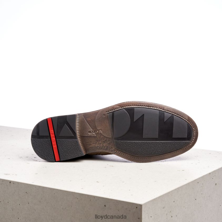 DUAL LLOYD Men brown R084ZF498 Shoes