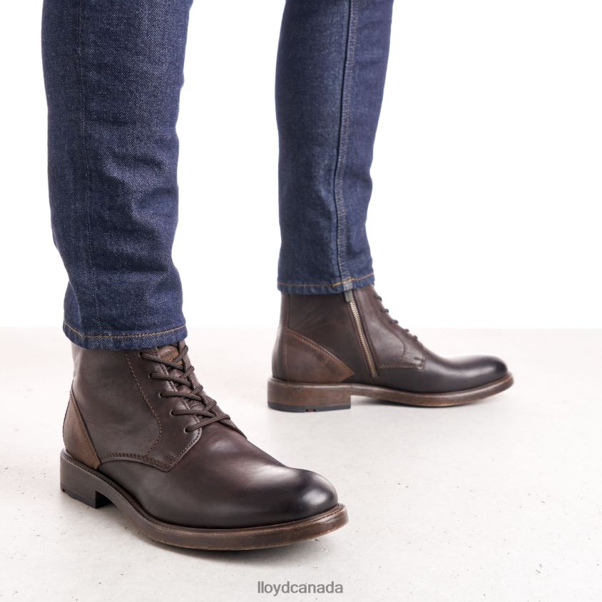DUAL LLOYD Men brown R084ZF526 Shoes
