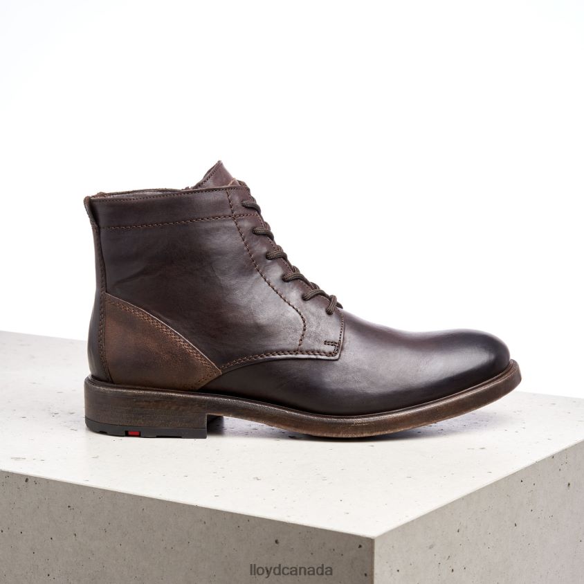 DUAL LLOYD Men brown R084ZF526 Shoes
