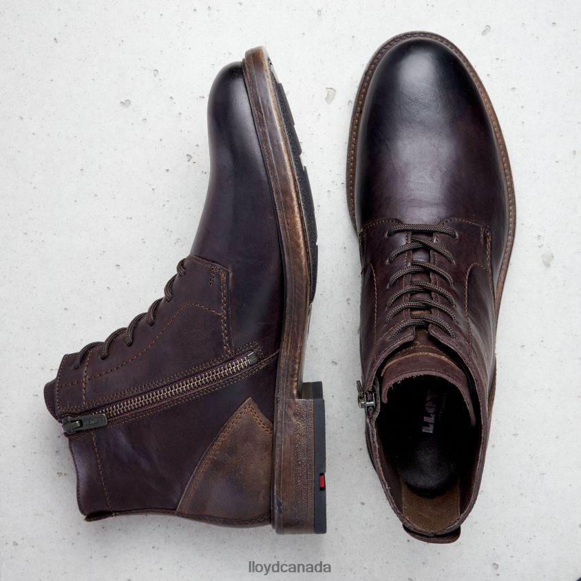 DUAL LLOYD Men brown R084ZF526 Shoes