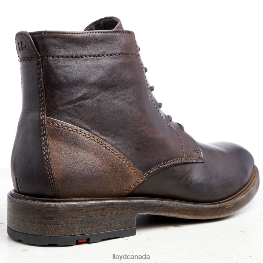 DUAL LLOYD Men brown R084ZF526 Shoes