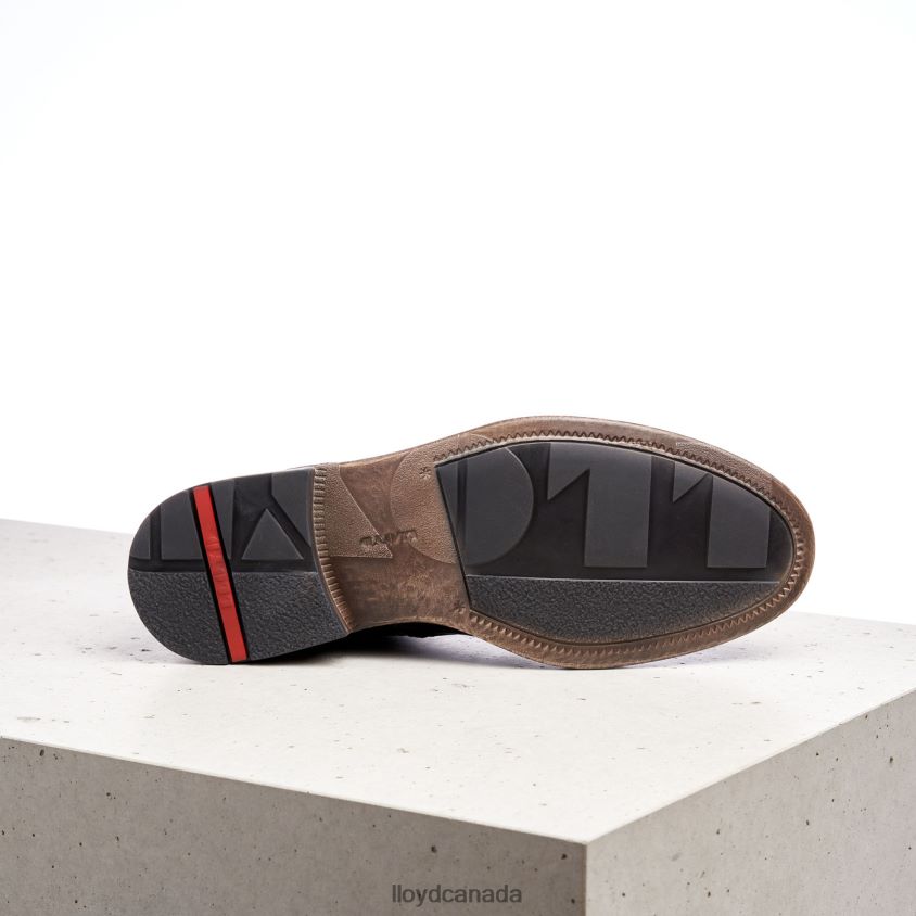 DUAL LLOYD Men brown R084ZF526 Shoes