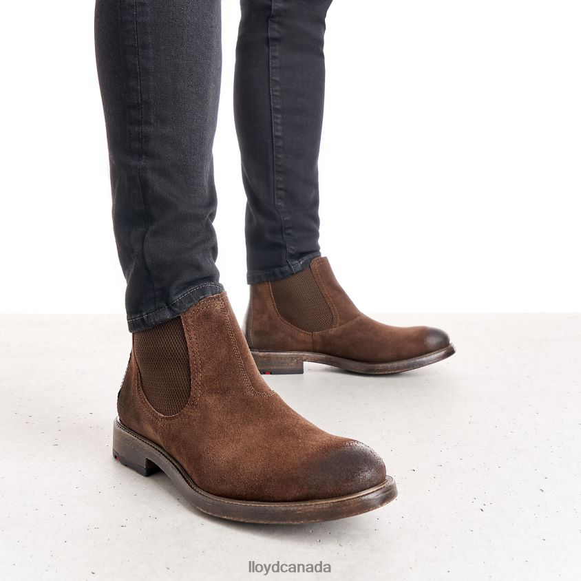 DURIEL LLOYD Men brown R084ZF525 Shoes