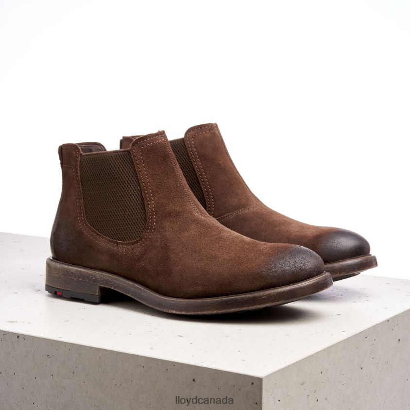 DURIEL LLOYD Men brown R084ZF525 Shoes