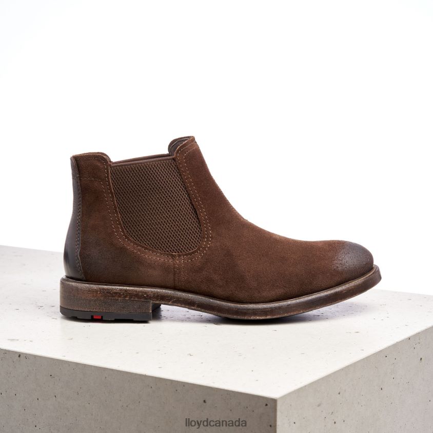 DURIEL LLOYD Men brown R084ZF525 Shoes