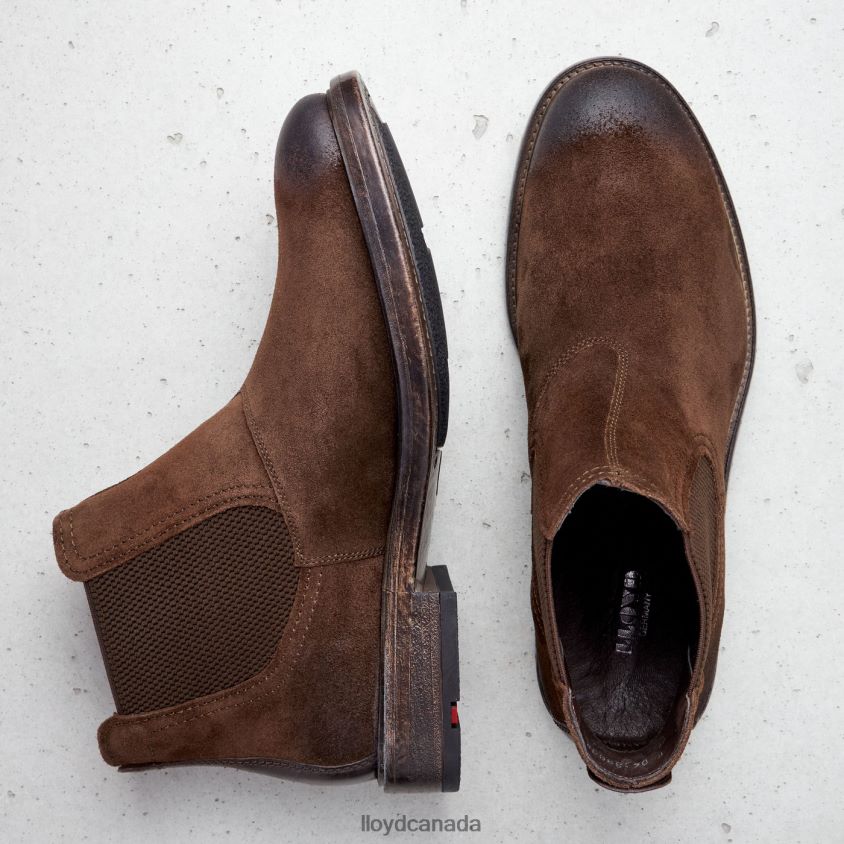 DURIEL LLOYD Men brown R084ZF525 Shoes