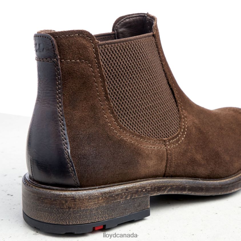 DURIEL LLOYD Men brown R084ZF525 Shoes