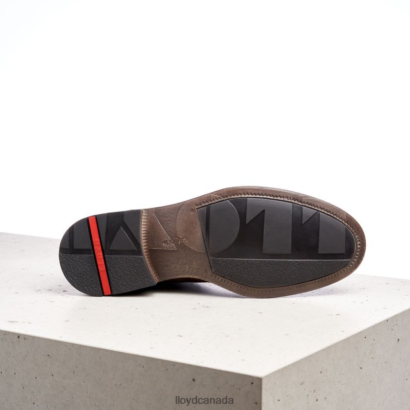 DURIEL LLOYD Men brown R084ZF525 Shoes
