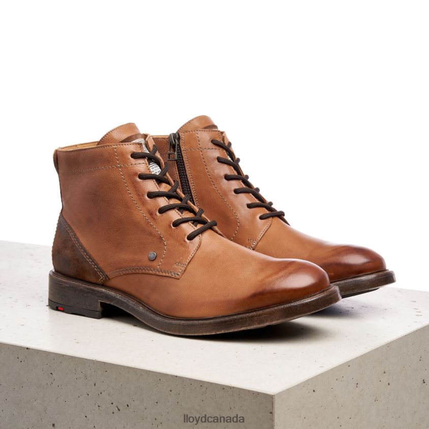DWAYN LLOYD Men brown R084ZF535 Shoes