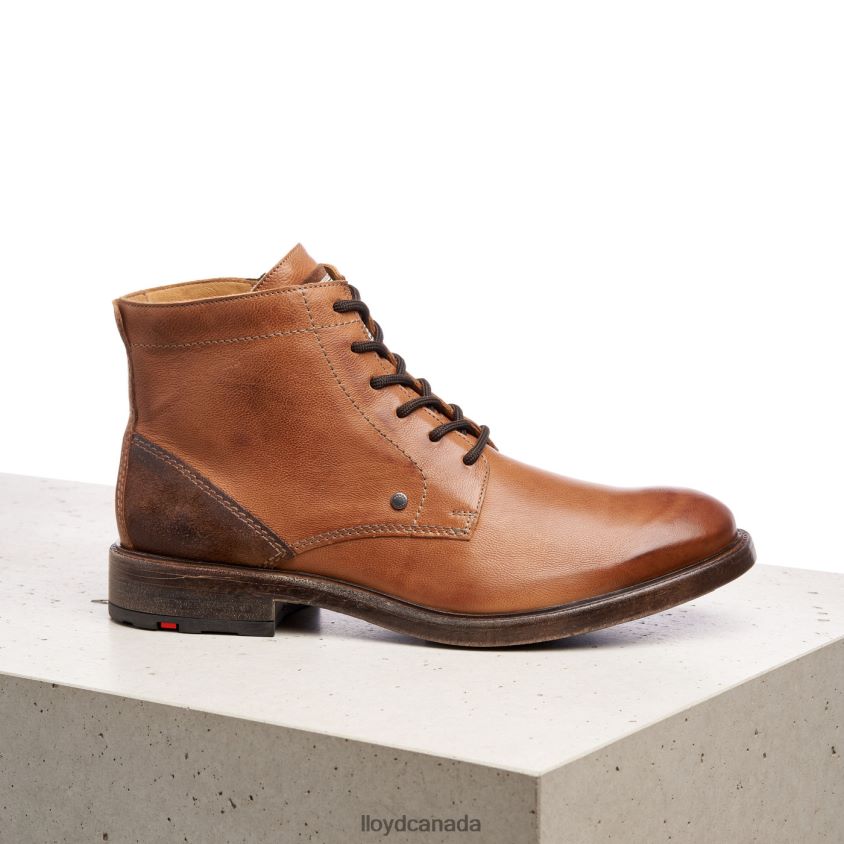 DWAYN LLOYD Men brown R084ZF535 Shoes