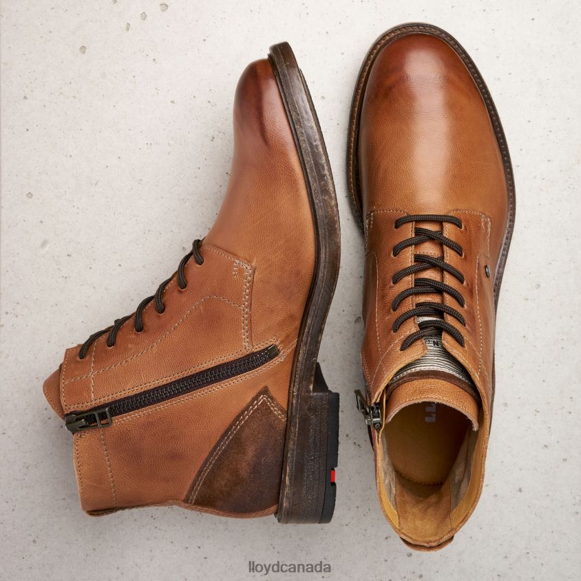 DWAYN LLOYD Men brown R084ZF535 Shoes