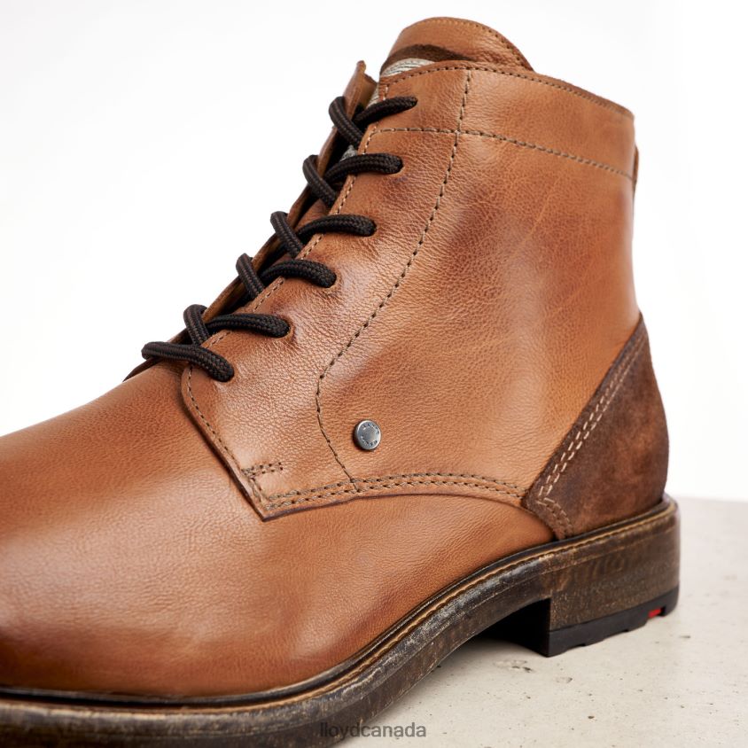 DWAYN LLOYD Men brown R084ZF535 Shoes