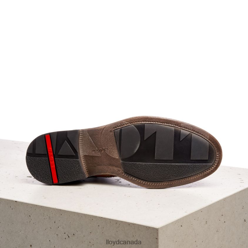 DWAYN LLOYD Men brown R084ZF535 Shoes