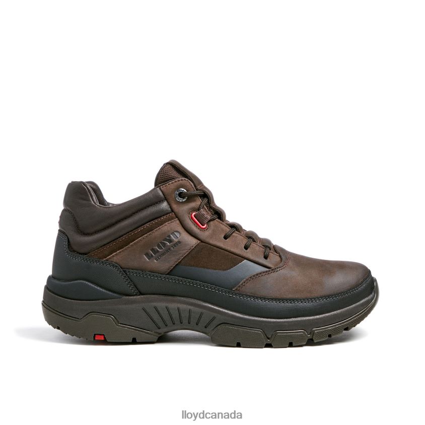 EDD LLOYD Men brown R084ZF467 Shoes