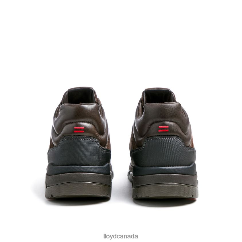 EDD LLOYD Men brown R084ZF467 Shoes