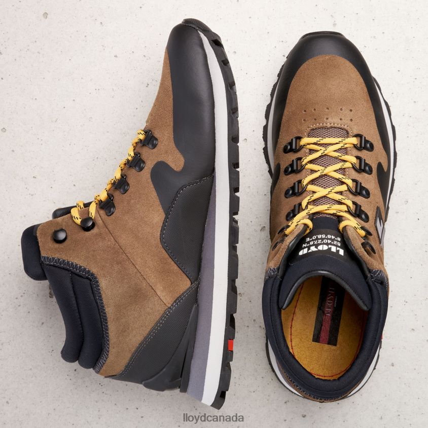 ELWAS LLOYD Men brown R084ZF551 Shoes