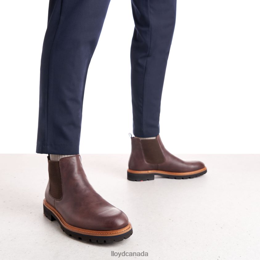 FEDOR LLOYD Men brown R084ZF523 Shoes