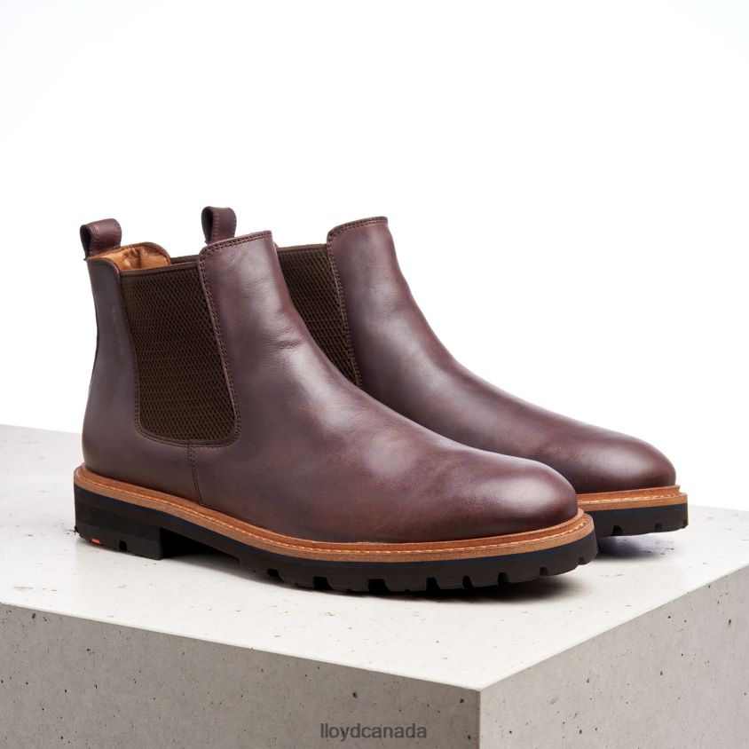FEDOR LLOYD Men brown R084ZF523 Shoes