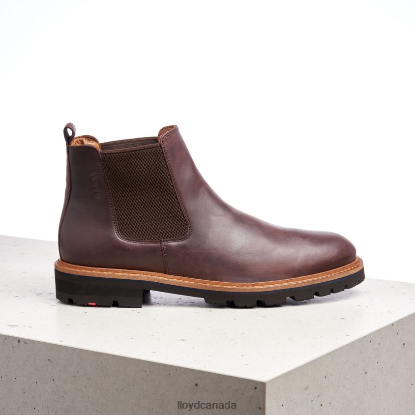 FEDOR LLOYD Men brown R084ZF523 Shoes