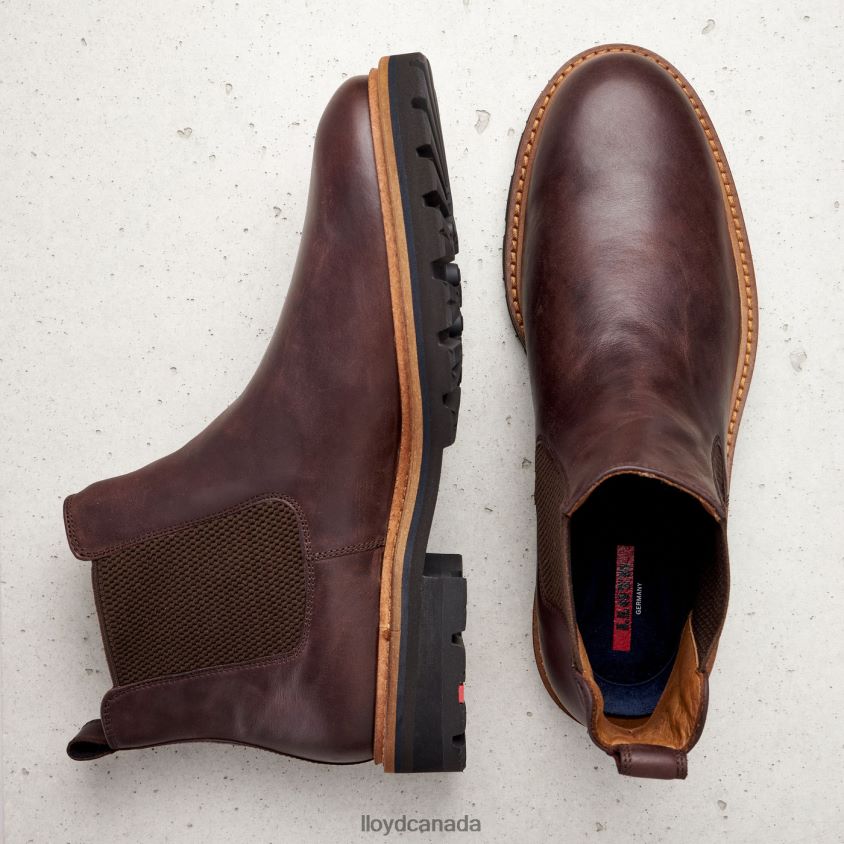 FEDOR LLOYD Men brown R084ZF523 Shoes