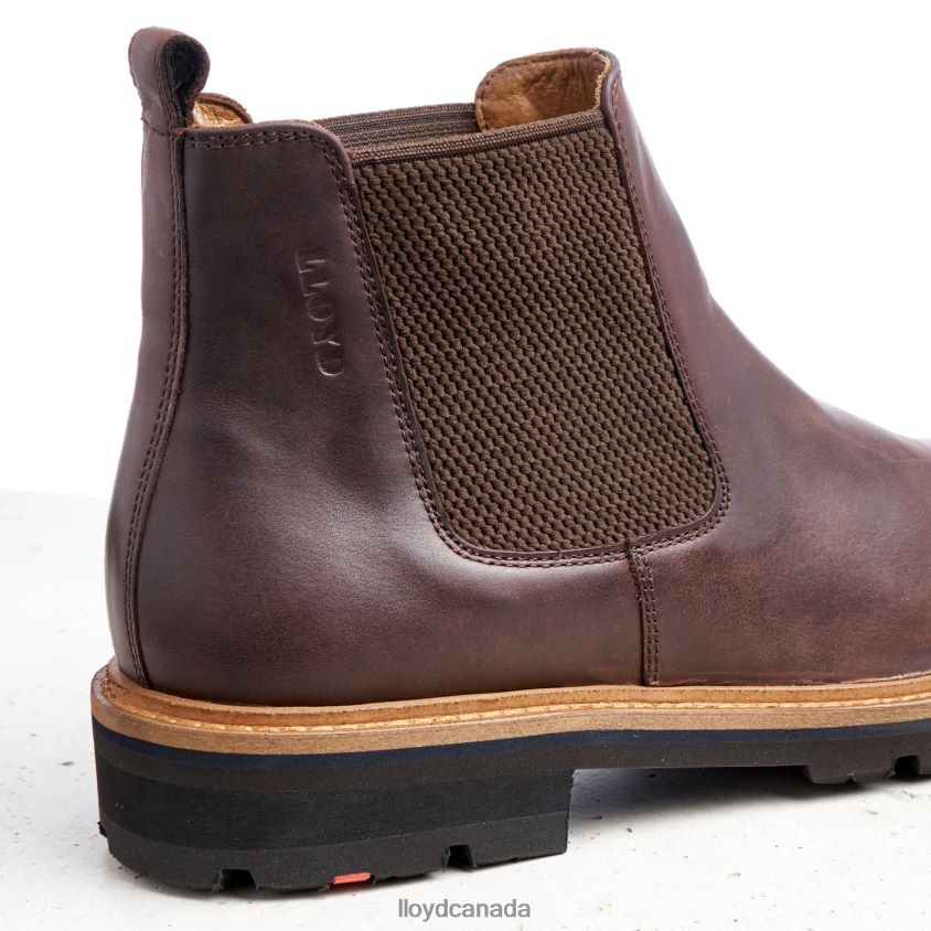 FEDOR LLOYD Men brown R084ZF523 Shoes