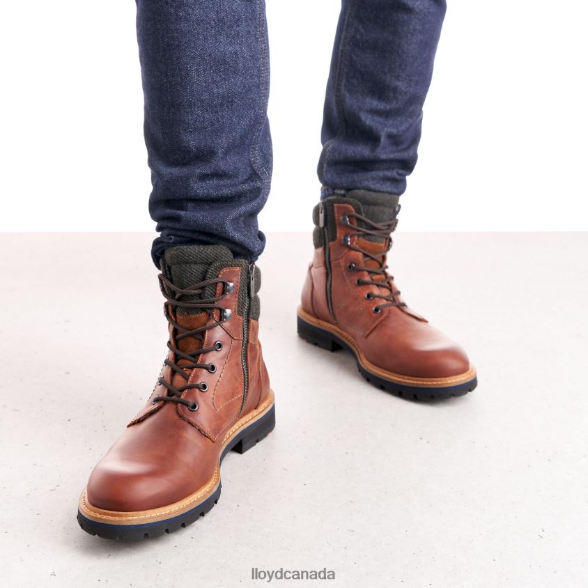 FLAVIO LLOYD Men brown R084ZF506 Shoes