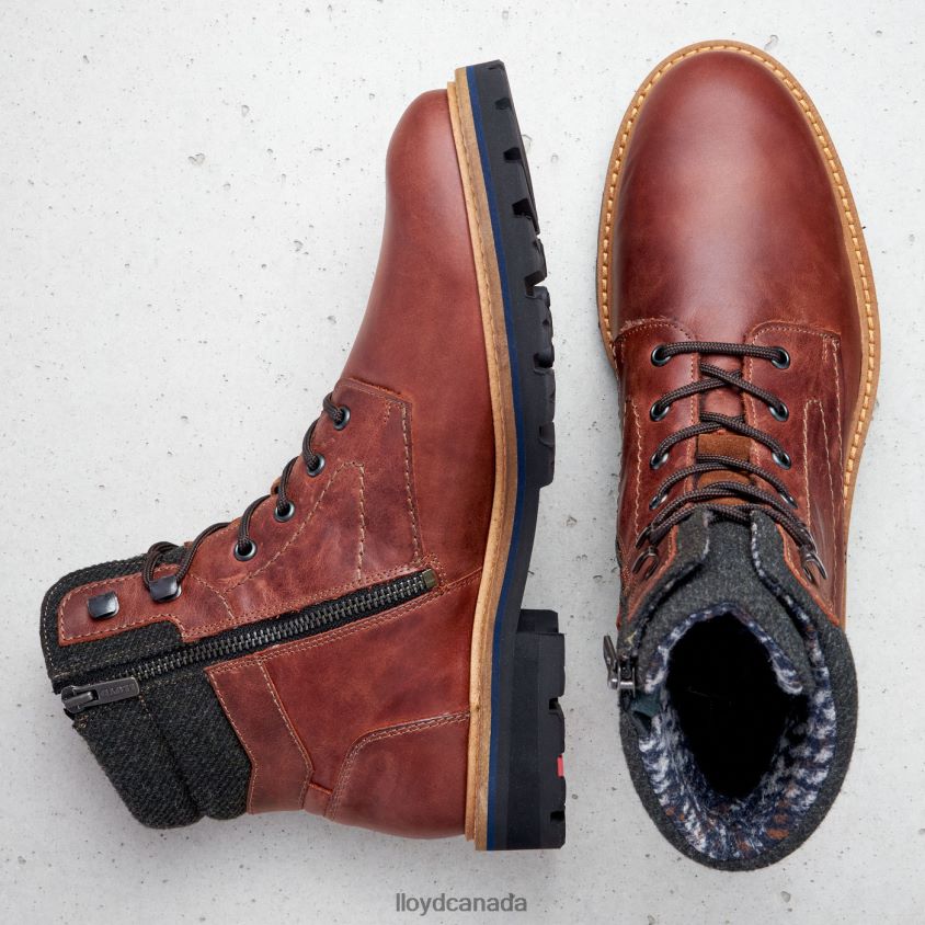 FLAVIO LLOYD Men brown R084ZF506 Shoes