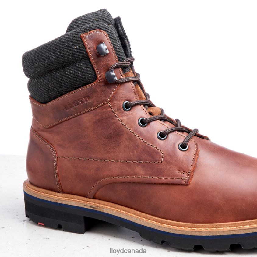 FLAVIO LLOYD Men brown R084ZF506 Shoes